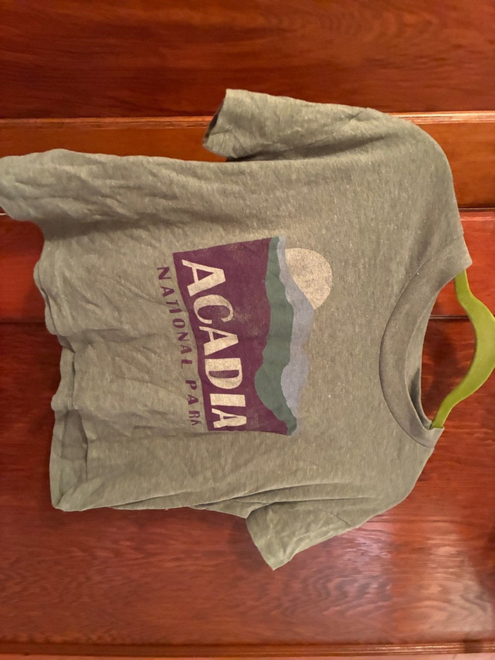 Alternative Kids Gray Acadia National Park Graphic Tee with Purple & Teal Print